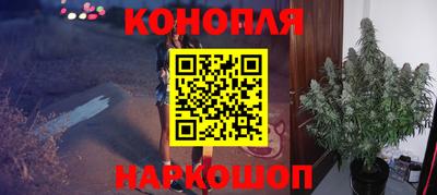 дживик Гай